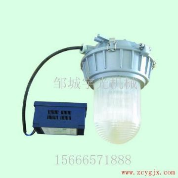 点击查看详细信息<br>标题：厂房应急照明灯DGS35/70-220 阅读次数：2319