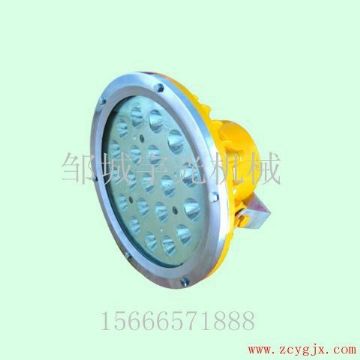 点击查看详细信息<br>标题：DGS60/127L矿用隔爆型LED投光灯 阅读次数：2335